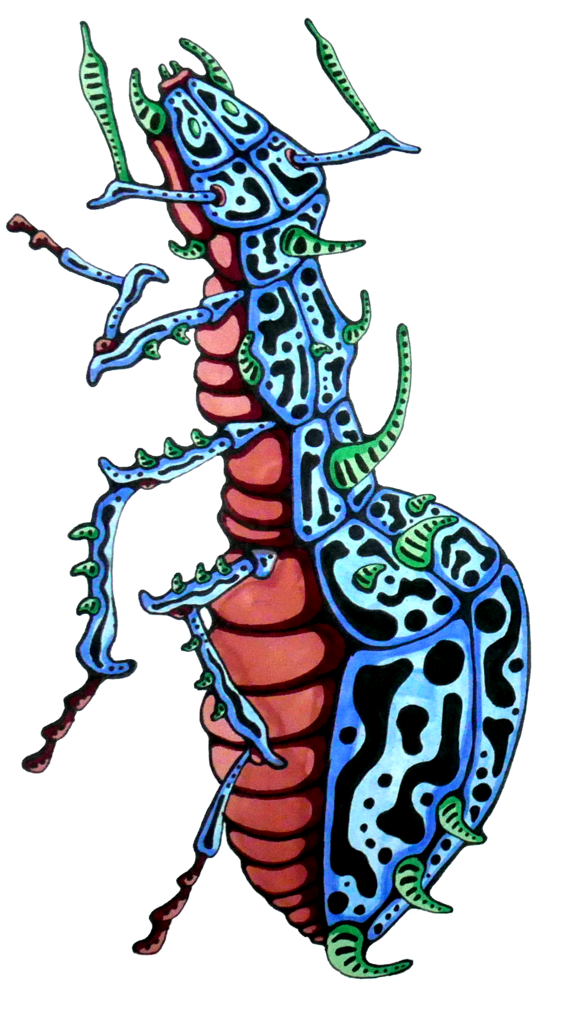 Contact header graphic